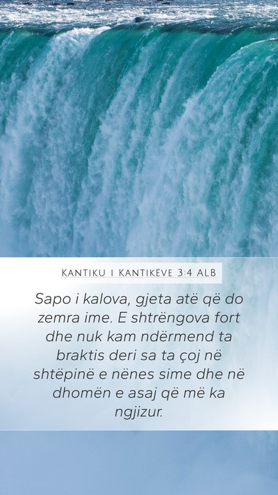 Kantiku i Kantikëve 3:4 ALB Bible Verse Image