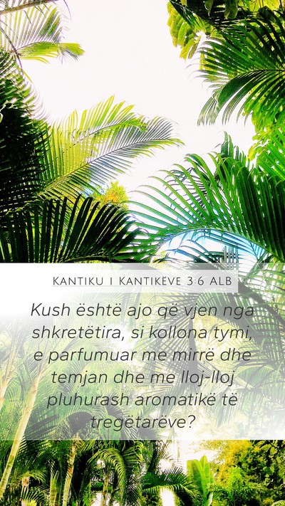 Kantiku i Kantikëve 3:6 ALB Bible Verse Image
