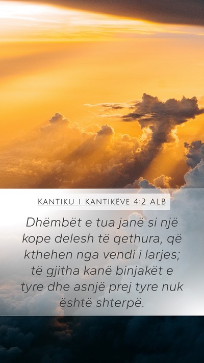 Kantiku i Kantikëve 4:2 ALB Mobile Phone Wallpaper - Dhëmbët e tua janë si një kope delesh të - Mobile Bible Verse Wallpaper