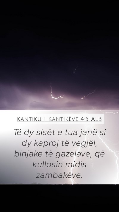 Kantiku i Kantikëve 4:5 ALB Bible Verse Image