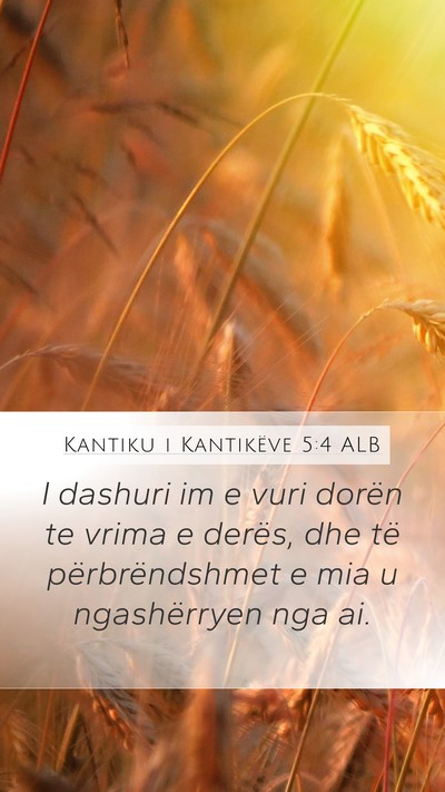 Kantiku i Kantikëve 5:4 ALB Mobile Phone Wallpaper - I dashuri im e vuri dorën te vrima e derës, dhe - Mobile Bible Verse Wallpaper