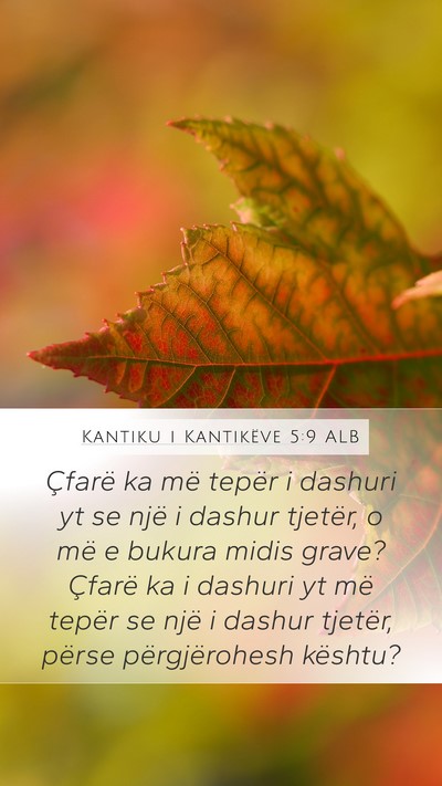 Kantiku i Kantikëve 5:9 ALB Bible Verse Image