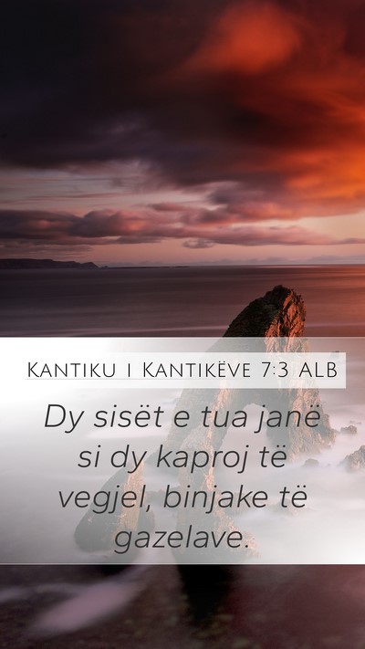 Kantiku i Kantikëve 7:3 ALB Bible Verse Image