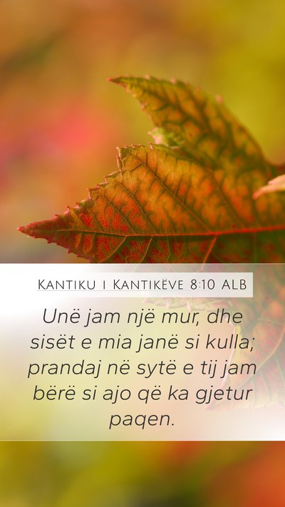 Kantiku i Kantikëve 8:10 ALB Bible Verse Image