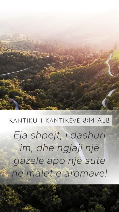 Kantiku i Kantikëve 8:14 ALB Bible Verse Image