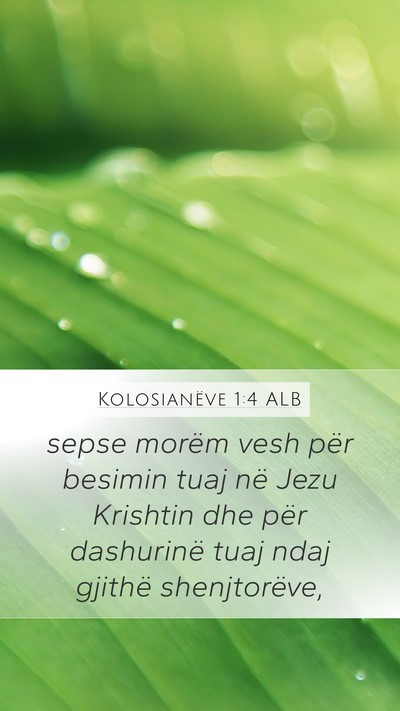 Kolosianëve 1:4 ALB Bible Verse Image