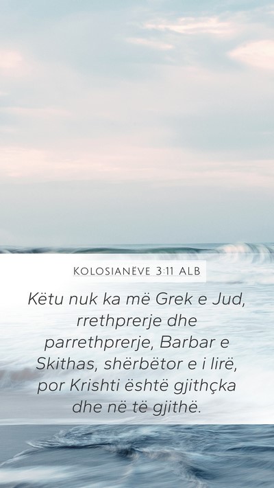 Kolosianëve 3:11 ALB Bible Verse Image