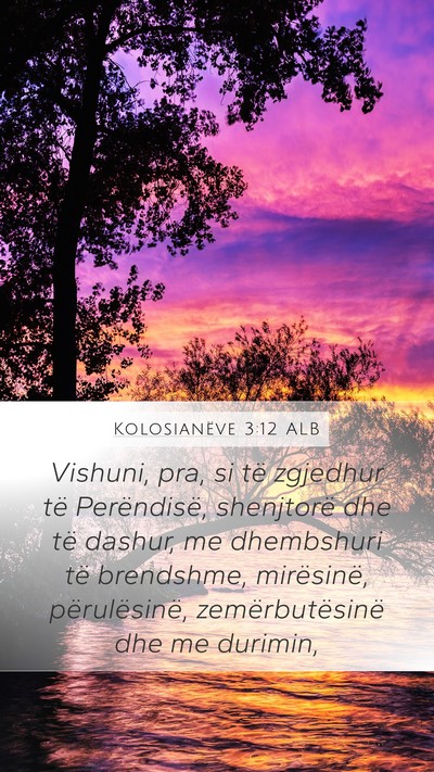 Kolosianëve 3:12 ALB Bible Verse Image