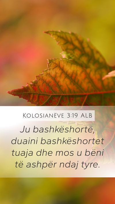 Kolosianëve 3:19 ALB Bible Verse Image