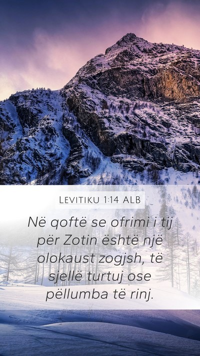 Levitiku 1:14 ALB Bible Verse Image