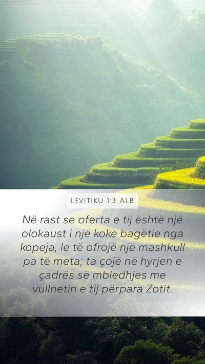Levitiku 1:3 ALB Bible Verse Image