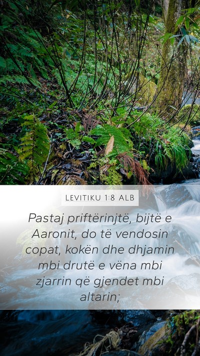 Levitiku 1:8 ALB Bible Verse Image