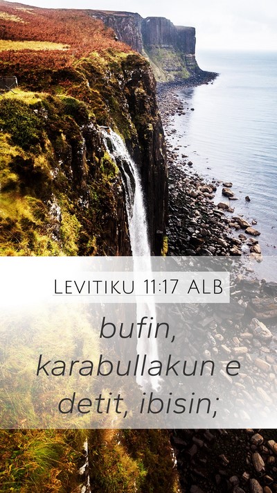 Levitiku 11:17 ALB Mobile Phone Wallpaper - bufin, karabullakun e detit, - Mobile Bible Verse Wallpaper