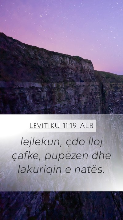 Levitiku 11:19 ALB Bible Verse Image