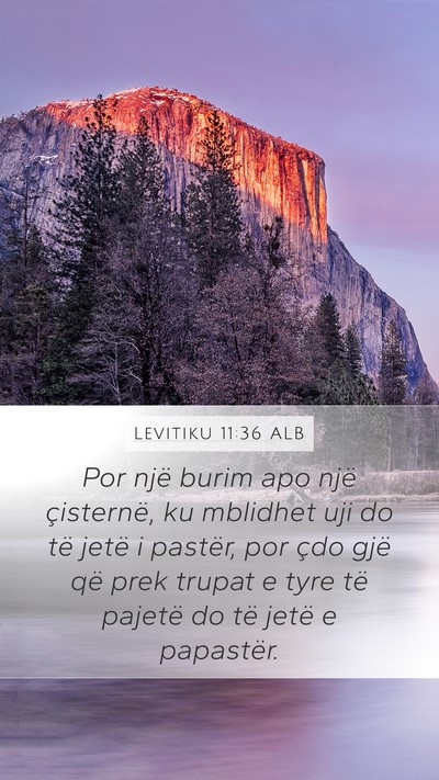 Levitiku 11:36 ALB Mobile Phone Wallpaper - Por një burim apo një çisternë, ku mblidhet - Mobile Bible Verse Wallpaper