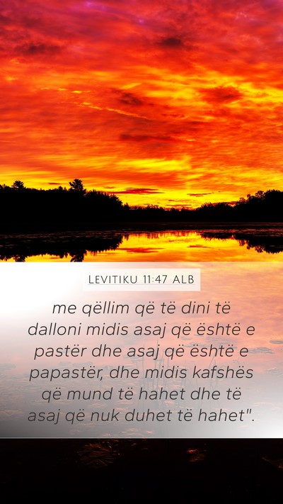 Levitiku 11:47 ALB Bible Verse Image