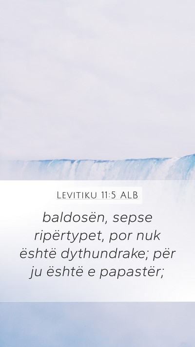 Levitiku 11:5 ALB Bible Verse Image