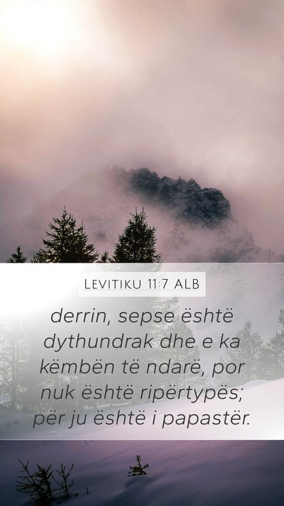 Levitiku 11:7 ALB Bible Verse Image