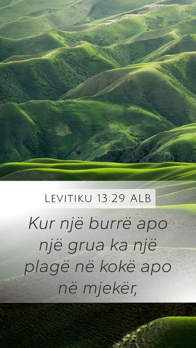 Levitiku 13:29 ALB Mobile Phone Wallpaper - Kur një burrë apo një grua ka një plagë në - Mobile Bible Verse Wallpaper