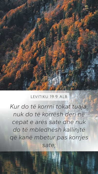 Levitiku 19:9 ALB Bible Verse Image
