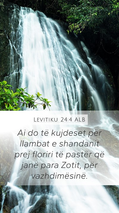 Levitiku 24:4 ALB Bible Verse Image