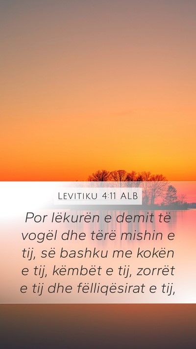 Levitiku 4:11 ALB Bible Verse Image