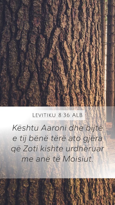 Levitiku 8:36 ALB Bible Verse Image