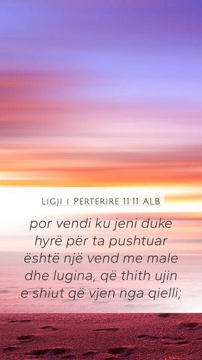 Ligji i Përtërirë 11:11 ALB Bible Verse Image