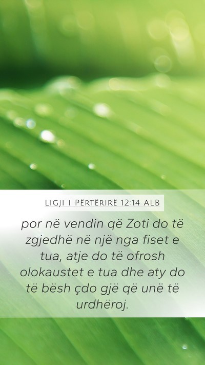 Ligji i Përtërirë 12:14 ALB Bible Verse Image