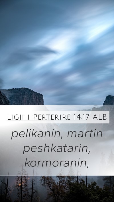 Ligji i Përtërirë 14:17 ALB Mobile Phone Wallpaper - pelikanin, martin peshkatarin, - Mobile Bible Verse Wallpaper
