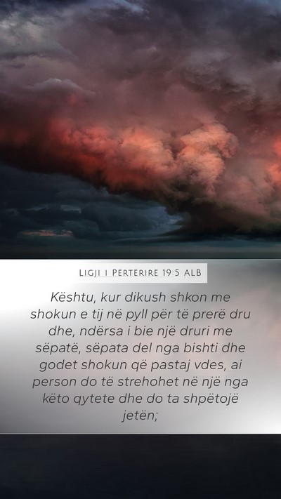 Ligji i Përtërirë 19:5 ALB Bible Verse Image