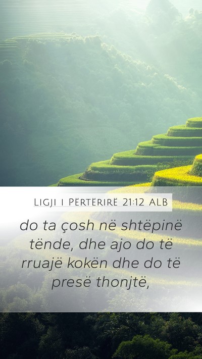 Ligji i Përtërirë 21:12 ALB Bible Verse Image