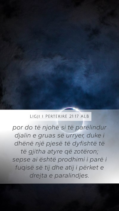 Ligji i Përtërirë 21:17 ALB Bible Verse Image