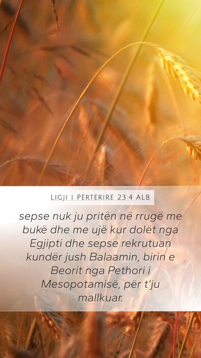 Ligji i Përtërirë 23:4 ALB Bible Verse Image