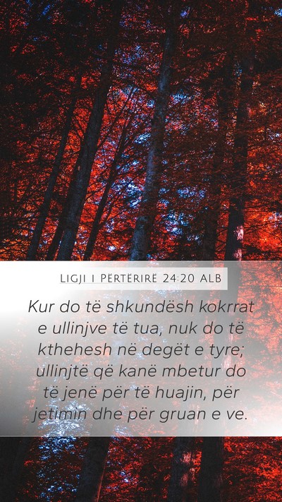 Ligji i Përtërirë 24:20 ALB Mobile Phone Wallpaper - Kur do të shkundësh kokrrat e ullinjve të tua, - Mobile Bible Verse Wallpaper