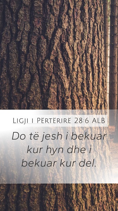 Ligji i Përtërirë 28:6 ALB Bible Verse Image