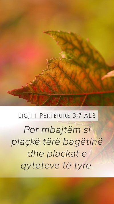 Ligji i Përtërirë 3:7 ALB Mobile Phone Wallpaper - Por mbajtëm si plaçkë tërë bagëtinë dhe - Mobile Bible Verse Wallpaper