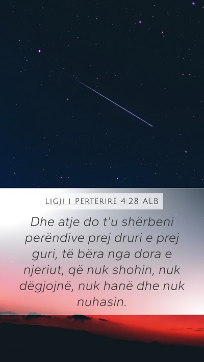 Ligji i Përtërirë 4:28 ALB Bible Verse Image