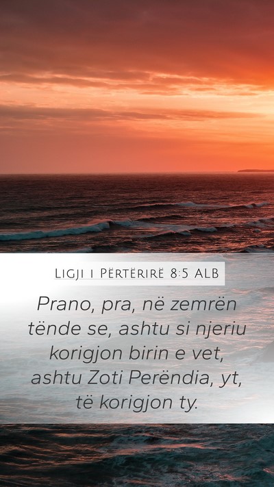 Ligji i Përtërirë 8:5 ALB Bible Verse Image