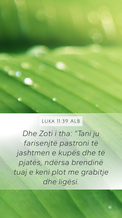 Luka 11:39 ALB Bible Verse Image