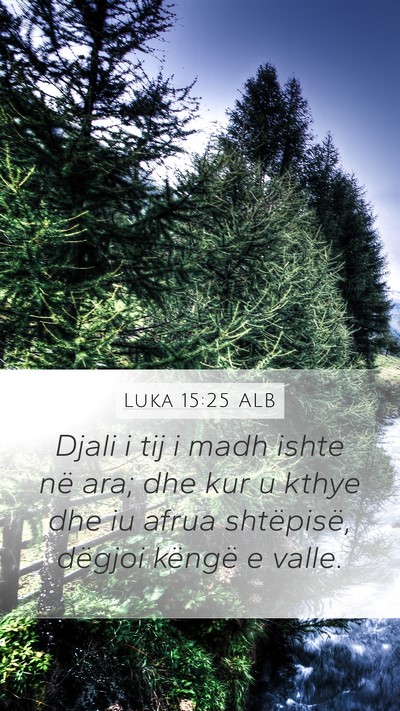 Luka 15:25 ALB Bible Verse Image