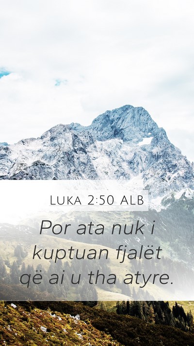 Luka 2:50 ALB Bible Verse Image