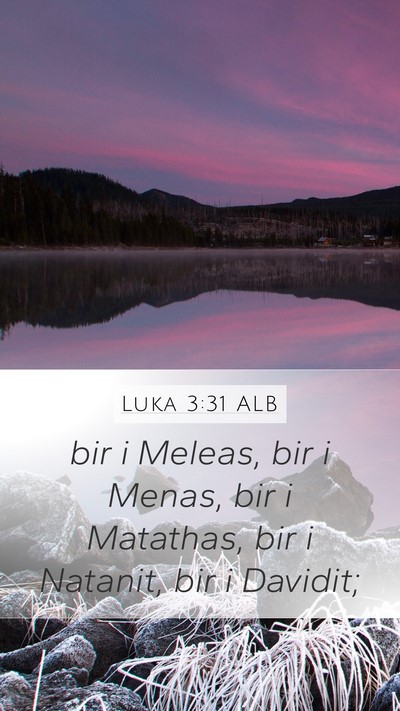Luka 3:31 ALB Bible Verse Image