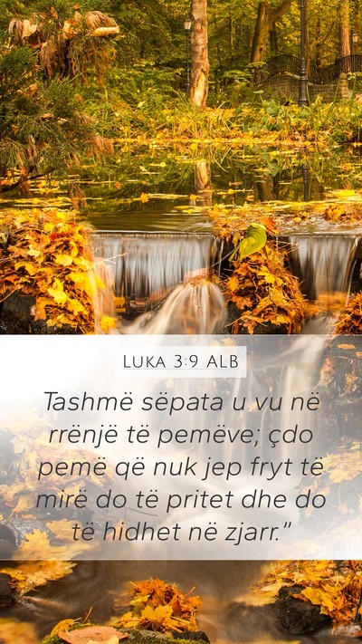 Luka 3:9 ALB Mobile Phone Wallpaper - Tashmë sëpata u vu në rrënjë të pemëve; - Mobile Bible Verse Wallpaper