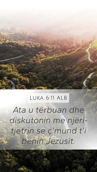Luka 6:11 ALB Bible Verse Image