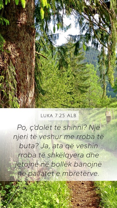 Luka 7:25 ALB Mobile Phone Wallpaper - Po, ç’dolët të shihni? Një njeri të veshur - Mobile Bible Verse Wallpaper
