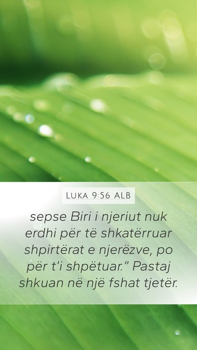 Luka 9:56 ALB Bible Verse Image