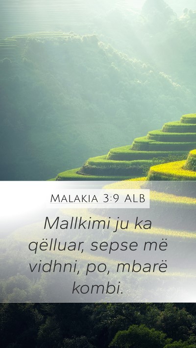 Malakia 3:9 ALB Bible Verse Image