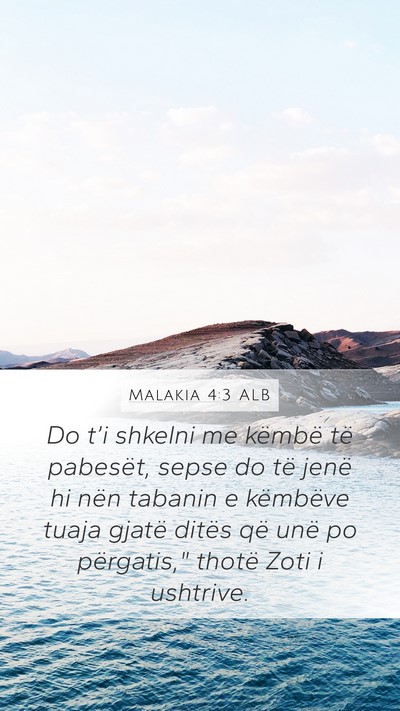 Malakia 4:3 ALB Bible Verse Image