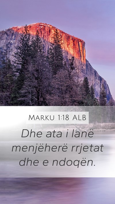 Marku 1:18 ALB Bible Verse Image